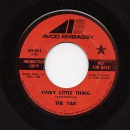 The Yak - Every Little Thing / Eric Cleveland